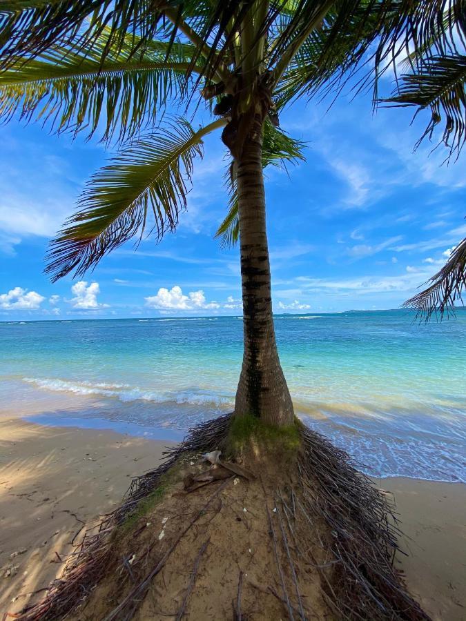 Cozy Beach Apartment Luquillo Bagian luar foto